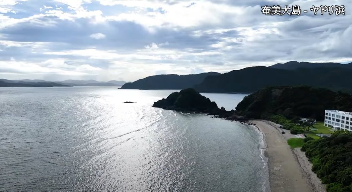協会関連動画「第4回　奄美大島　満 純孝 先生 を訪ねて」のサムネイル画像